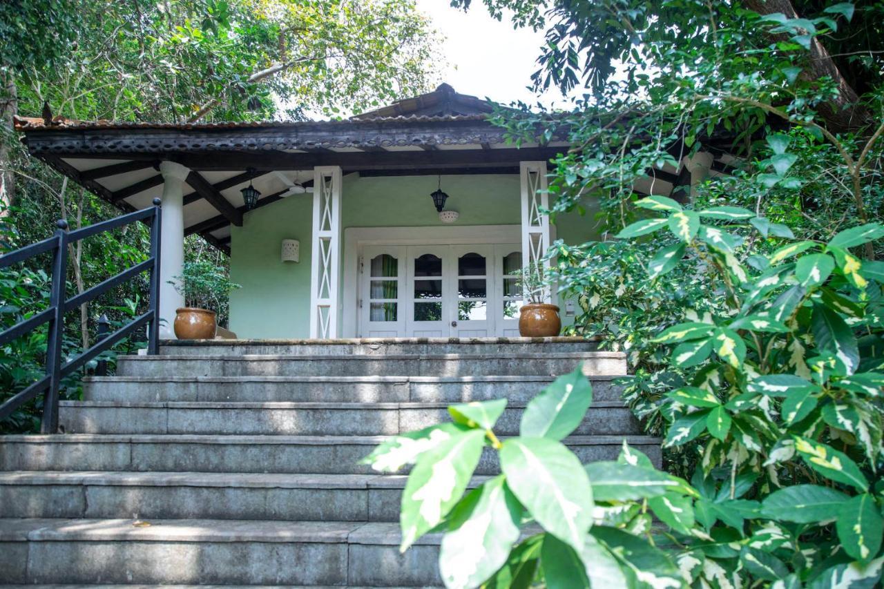 Wildflower Villas - All Villa Hotel, Family Run Candolim Εξωτερικό φωτογραφία