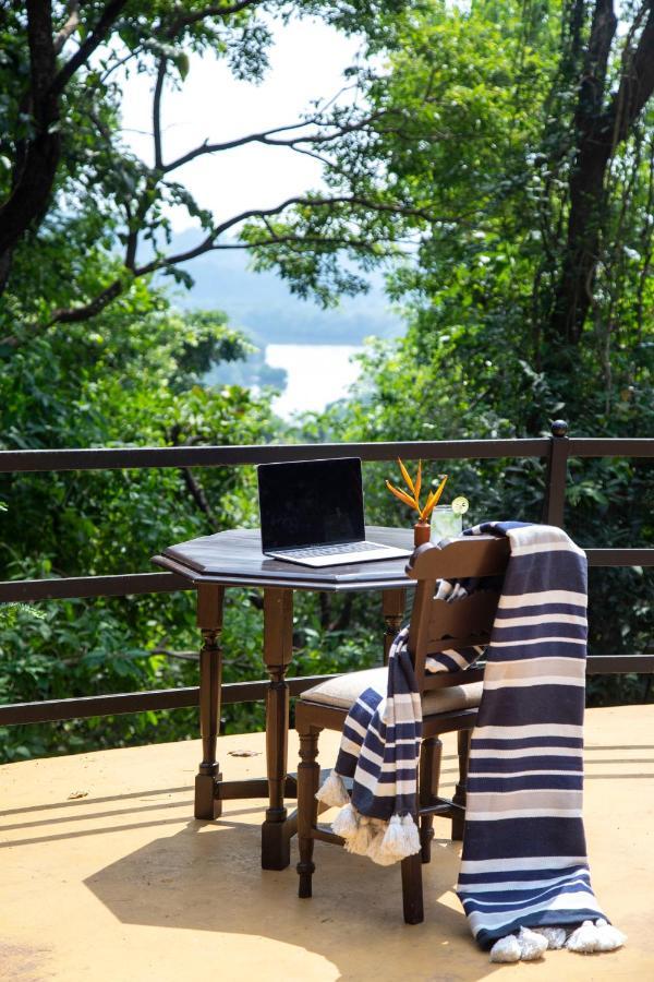 Wildflower Villas - All Villa Hotel, Family Run Candolim Εξωτερικό φωτογραφία