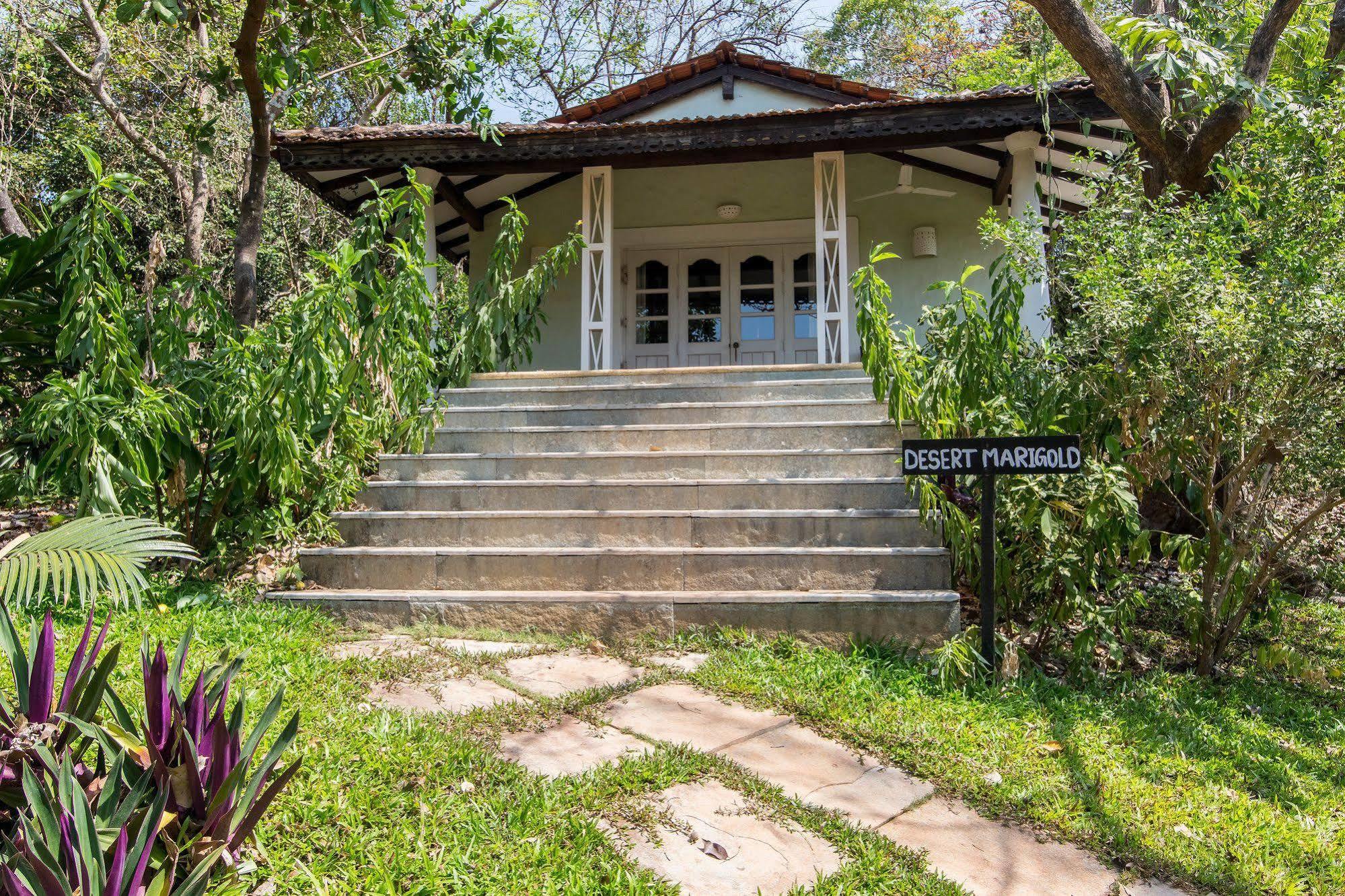 Wildflower Villas - All Villa Hotel, Family Run Candolim Εξωτερικό φωτογραφία